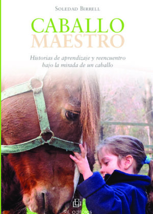 Caballo maestro: historias de aprendizaje y reencuentro bajo la mirada de un caballo