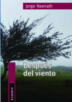 Después del viento