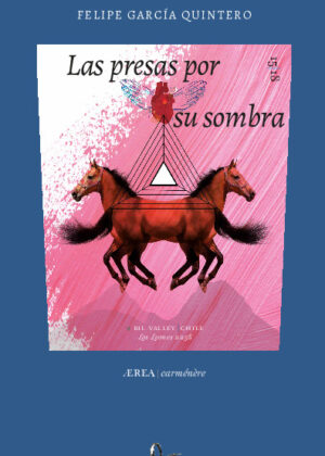 Las presas por su sombra