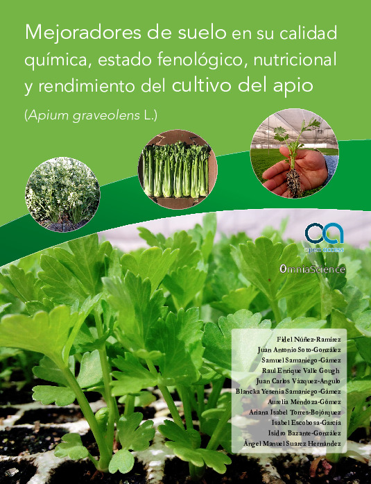 Mejoradores de suelo en su calidad química, estado fenológico nutricional y rendimiento del cultivo de apio (Apium graveolens L.)