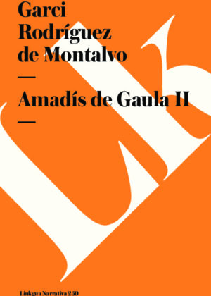 Amadís de Gaula II