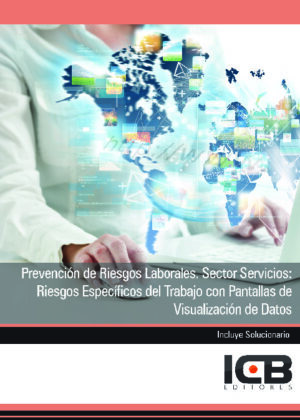 Prevención de Riesgos Laborales. Sector Servicios: Riesgos Específicos del Trabajo con Pantallas de Visualización de Datos