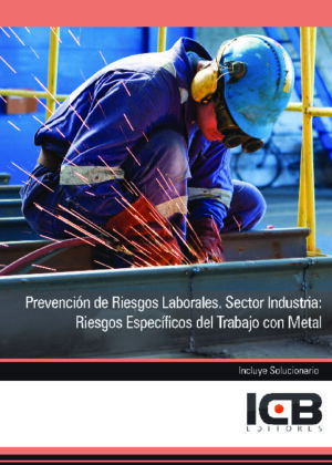 Prevención de Riesgos Laborales. Sector Industria: Riesgos Específicos del Trabajo con Metal