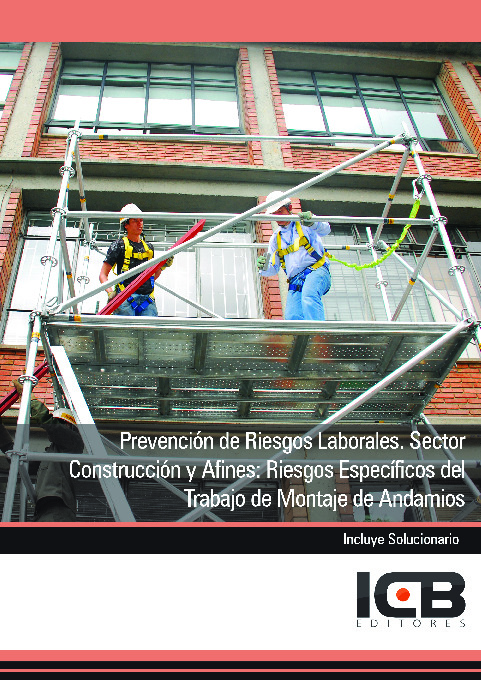 Prevención de Riesgos Laborales. Sector Construcción y Afines: Riesgos Específicos del Trabajo de Montaje de Andamios