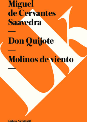 Don Quijote. Molinos de viento