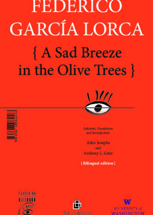 A Sad Breeze in the Olive Trees / Una brisa triste por los olivos