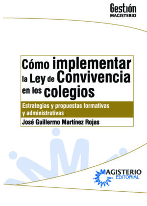 Cómo implementar la Ley de Convivencia en los colegios