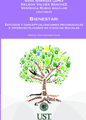 Bienestar: estudios y conceptualizaciones psicosociales e interdisciplinares en Ciencias Sociales