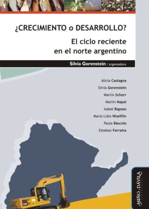 ¿Crecimiento o desarrollo? El ciclo reciente en el norte argentino