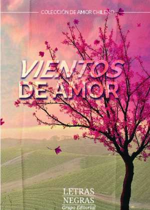 Vientos de amor