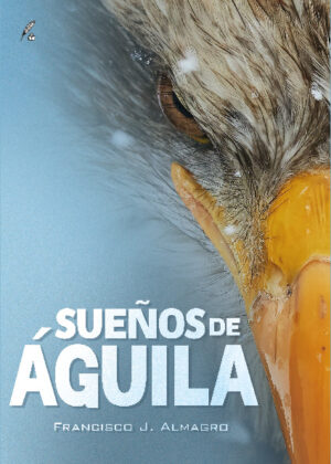 Sueños de águila