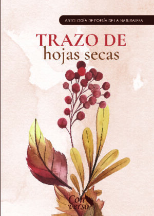Trazo de hojas secas