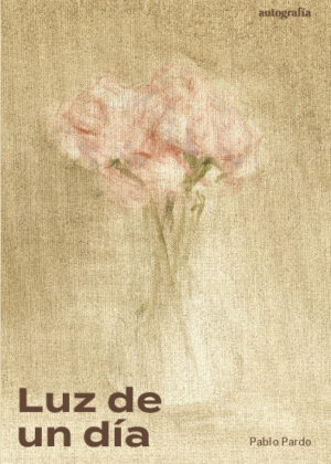 Luz de un día