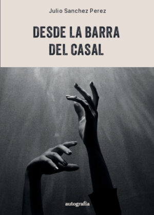 Desde la barra del casal