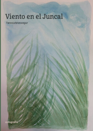 Viento en el Juncal