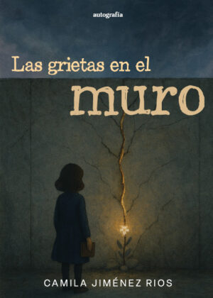 Las grietas en el muro