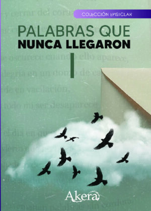 Palabras que nunca llegaron I
