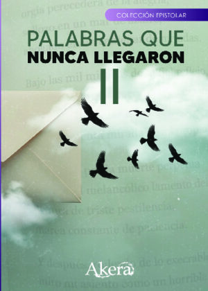 Palabras que nunca llegaron II