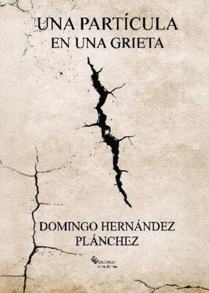 Una partícula en una grieta