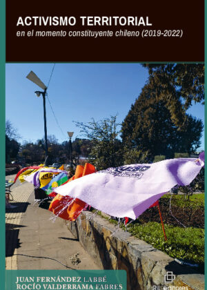 Activismo territorial en el momento constituyente chileno (2019-2022)
