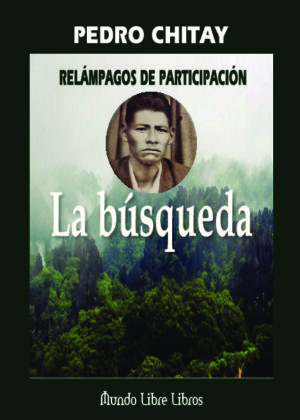 Relámpagos de participación. La Busqueda.