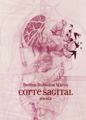 Corte Sagital