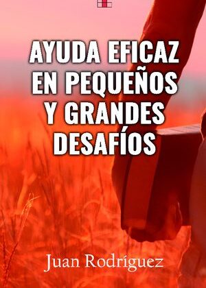 Ayuda eficaz en pequeños y grandes desafíos