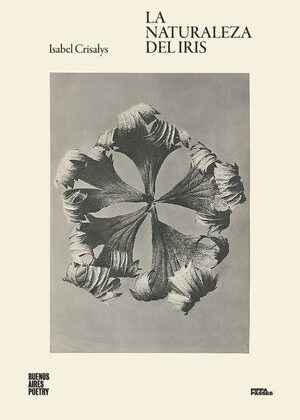 La naturaleza del iris