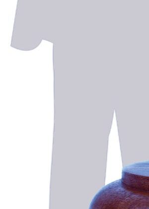 Comportamiento No Verbal. Pericial en el Contexto Judicial Mexicano