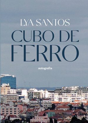 Cubo de ferro